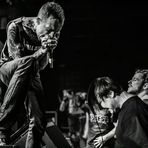 Meet your Posher, Coco - Picture 10 of 13